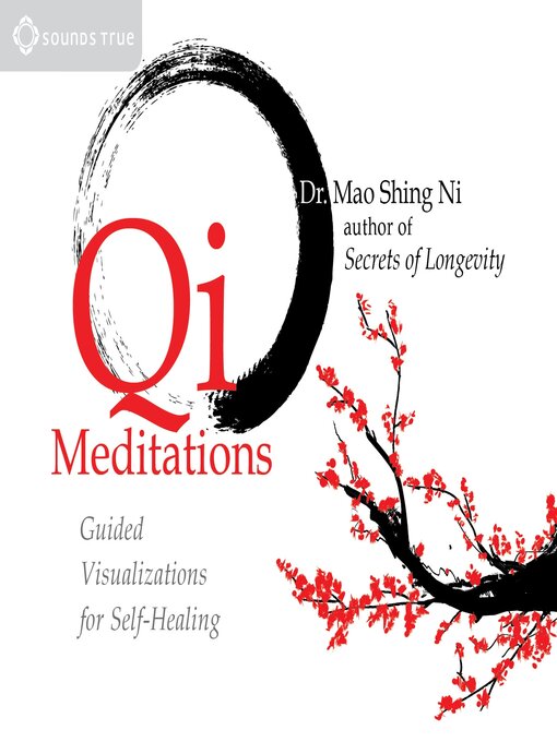 Cover image for Qi Meditations